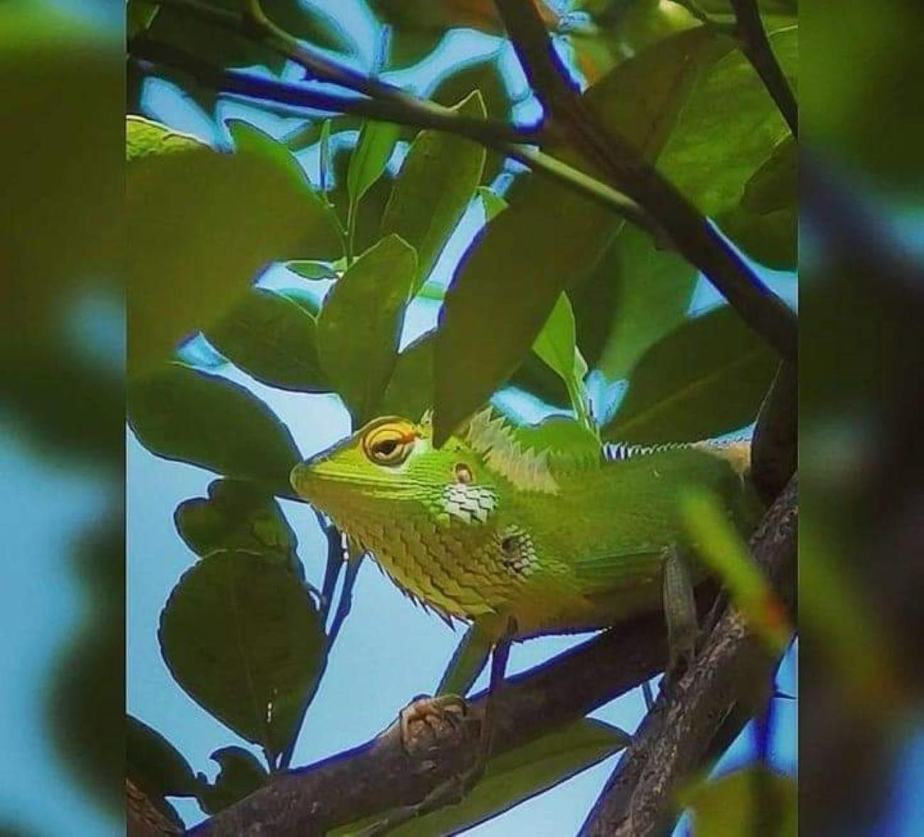 فيلا Freedom House أونا واتونا المظهر الخارجي الصورة