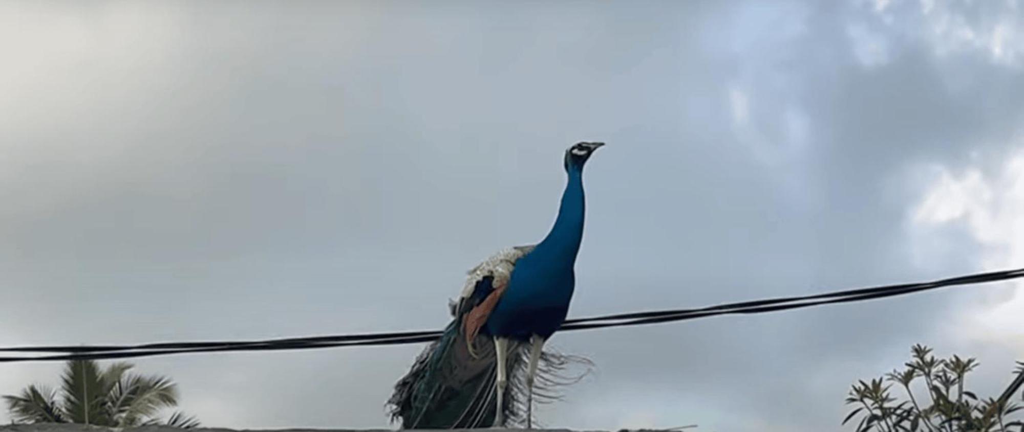 فيلا Freedom House أونا واتونا المظهر الخارجي الصورة